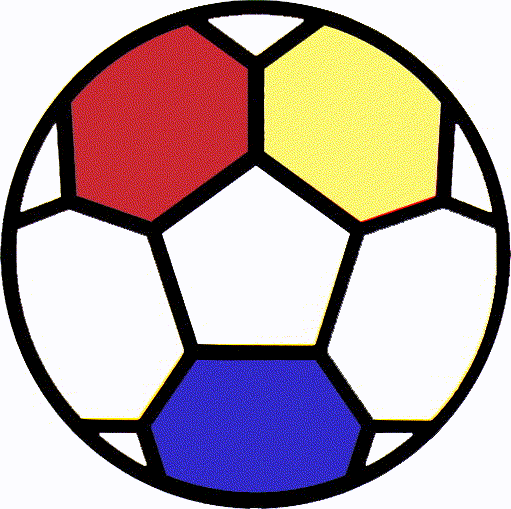 FC Reinach